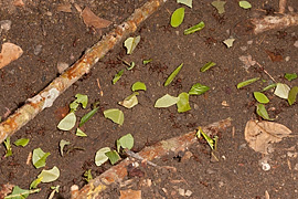 1D2_00755