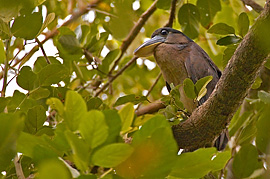 1D2_00759