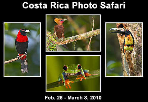 Click here for a YouTube Video of Costa Rica Images