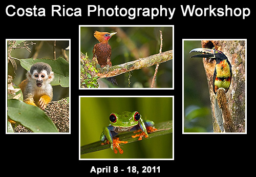 Click here for a YouTube Video of Costa Rica Images