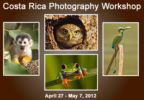 Click here for a YouTube Video of Costa Rica Images
