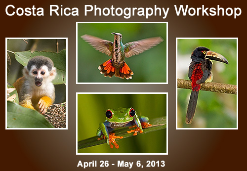 Click here for a YouTube Video of Costa Rica Images