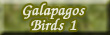 Click here for Bird 1 Gallery