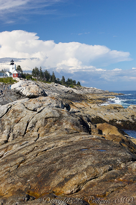 Click Here to Go Back