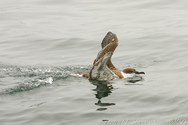 Click Here to Go Back