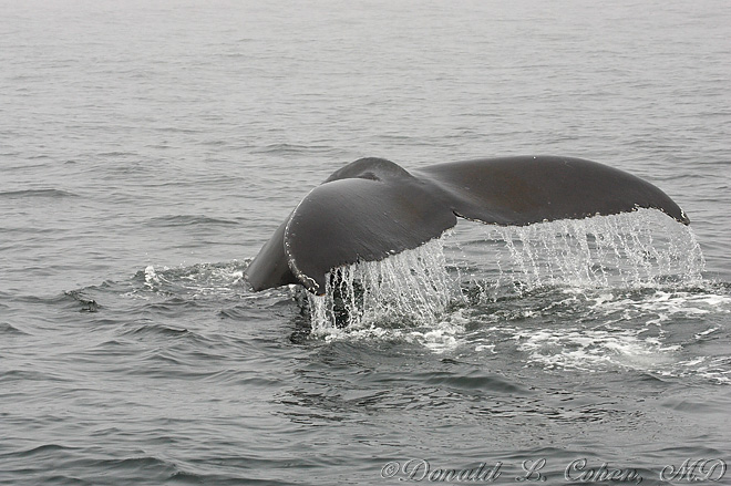 Click Here to Go Back