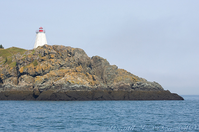 Click Here to Go Back