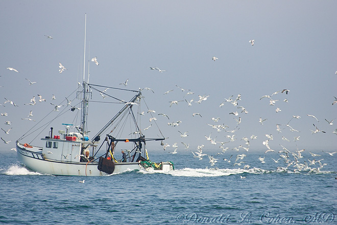 Click Here to Go Back