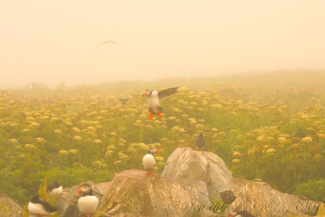 Click Here to Go Back