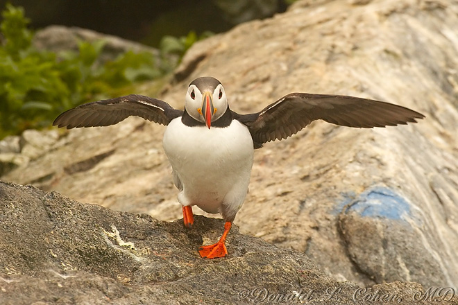 Click Here to Go Back