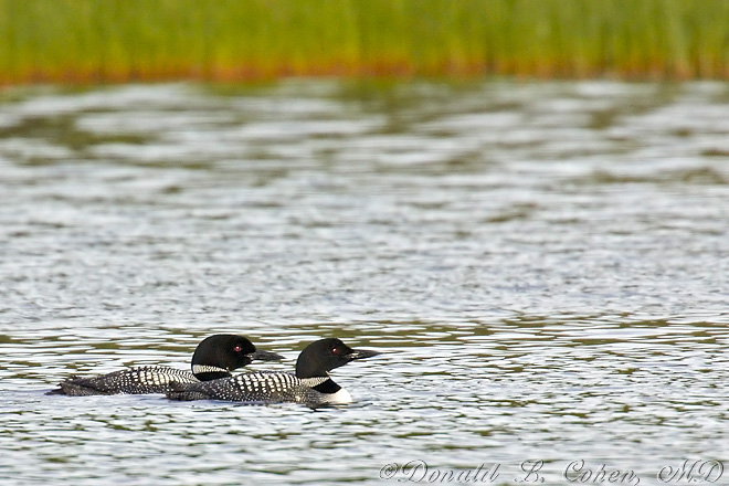 Click Here to Go Back